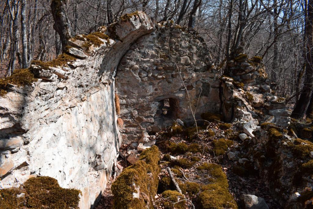ვეჯინის ციხე-დარბაზი