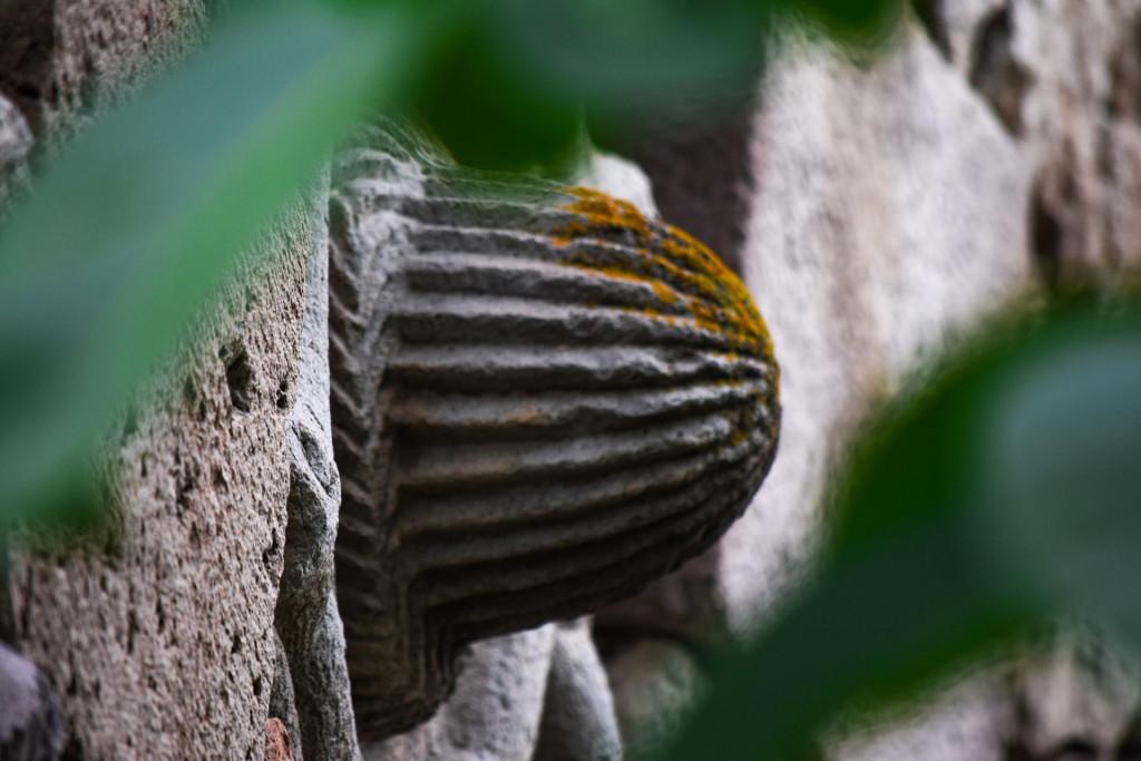 სოლოღას აბანო