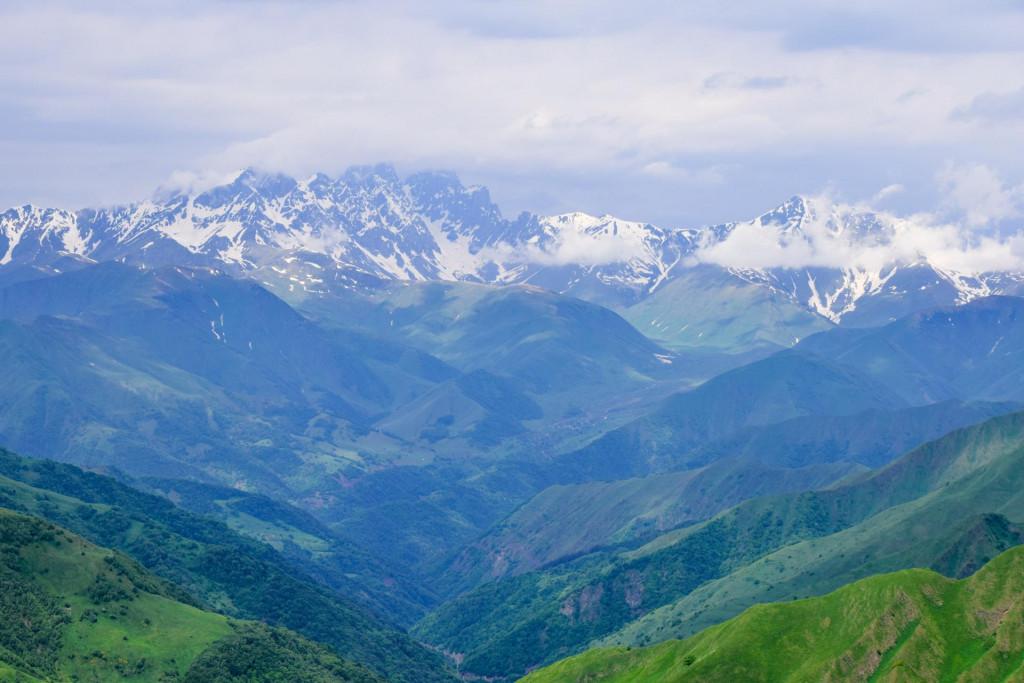 დათვისჯვარი