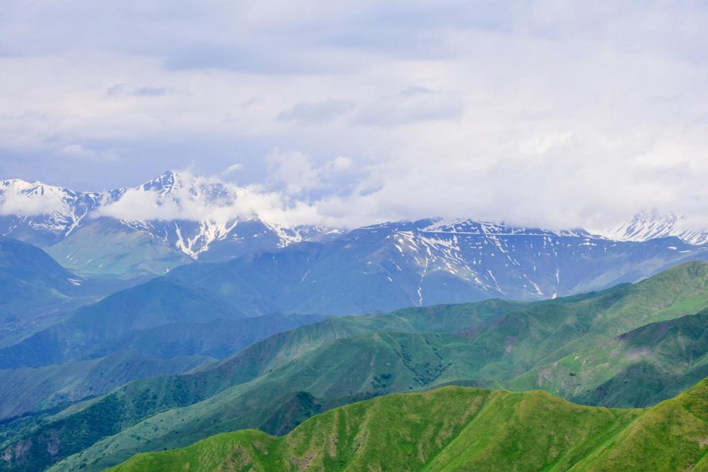 დათვისჯვარი