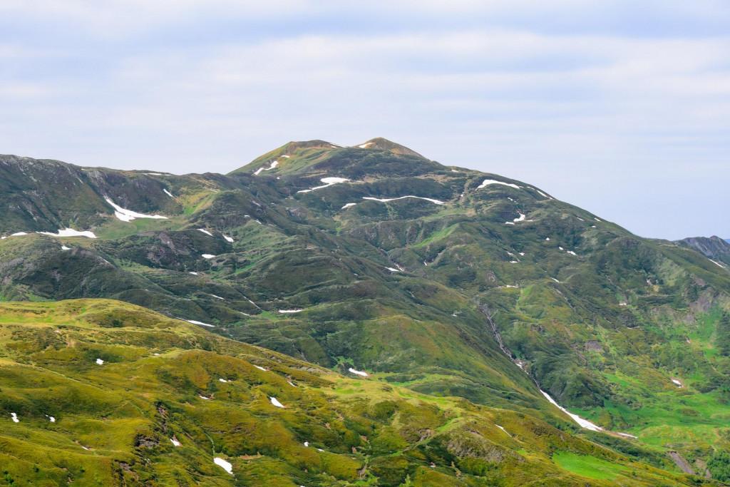 დათვისჯვარი