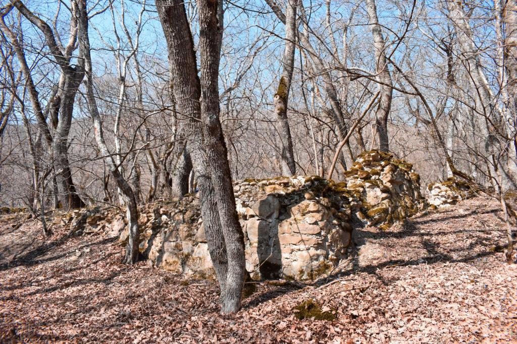 ვეჯინის ციხე-დარბაზი