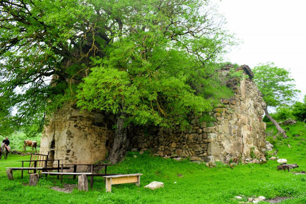 ბენისის ღვთისმშობლის ეკლესია