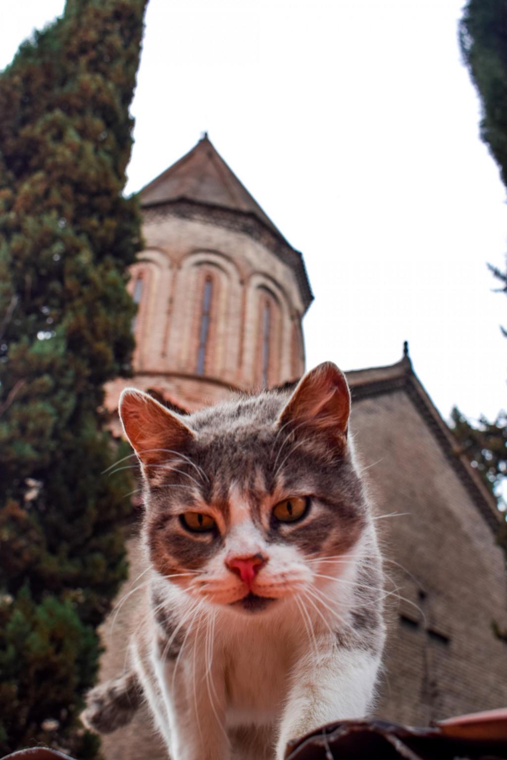 თბილისის ჯვარის მამის ეკლესია