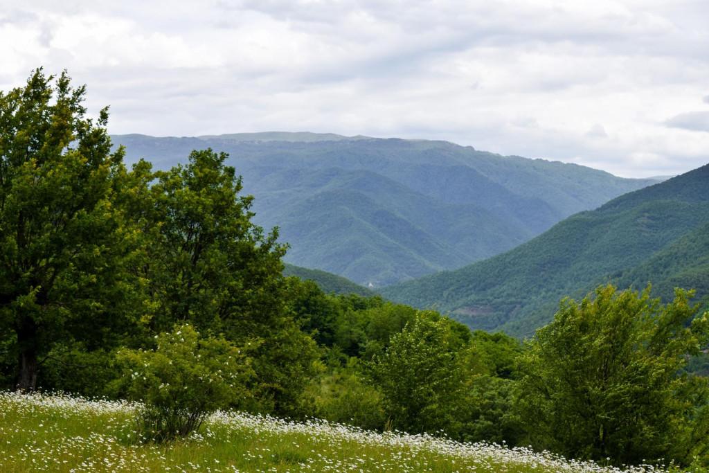 ჯრუჭის მონასტერი