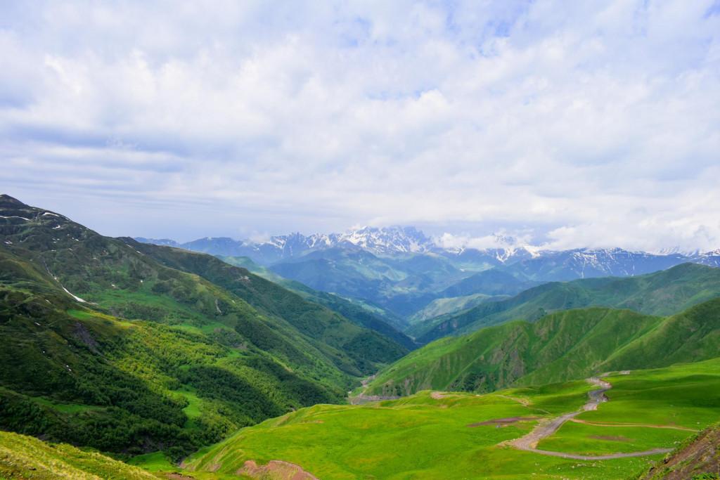 დათვისჯვარი