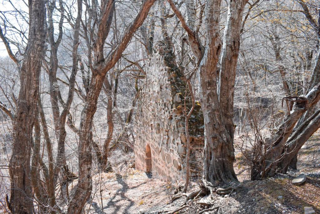 ვეჯინის სასახლე