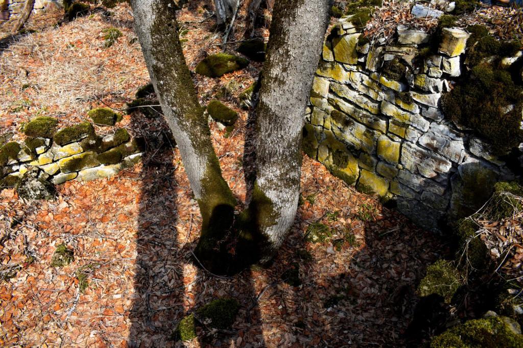 ანანურის კვირიკეს მონასტერი