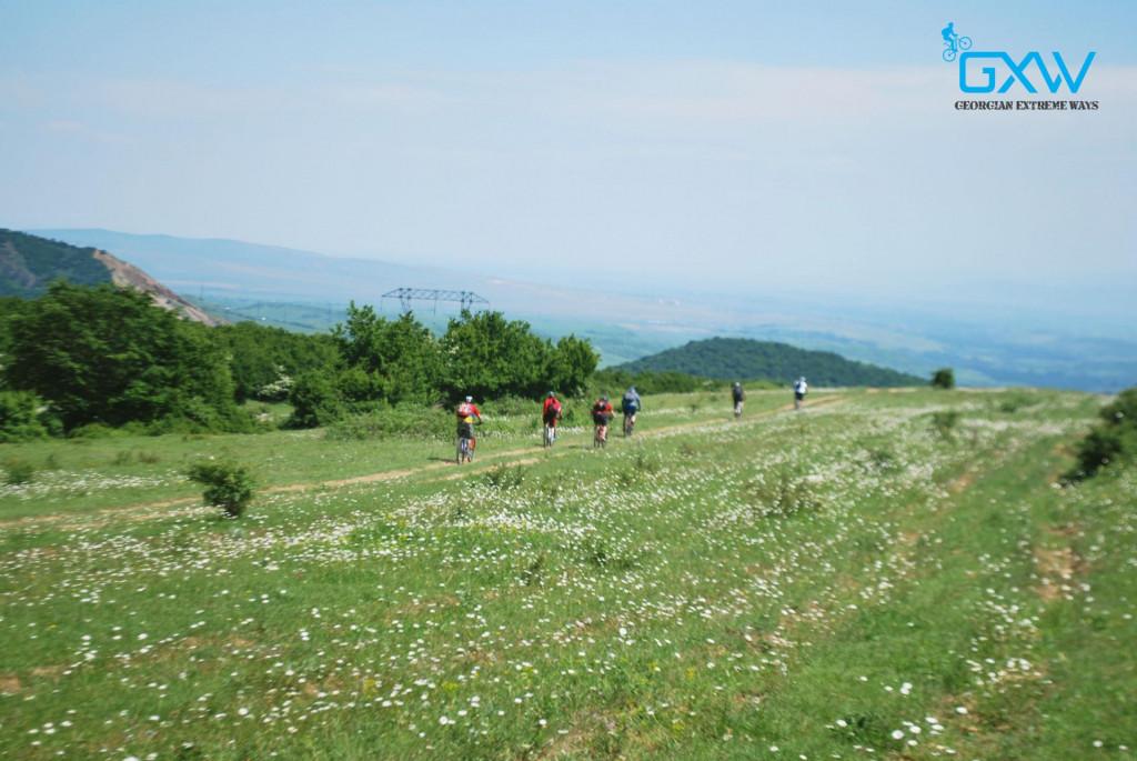 ერთ დღიანი ველოტური კოჯორი-მარაბდა