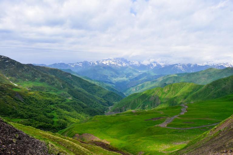 დათვისჯვარი