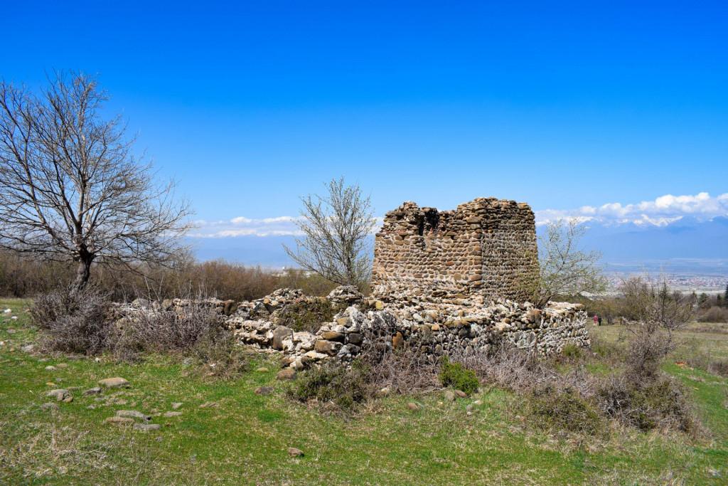 ვარდისუბნის საცხოვრებელი კომპლექსის კოშკი