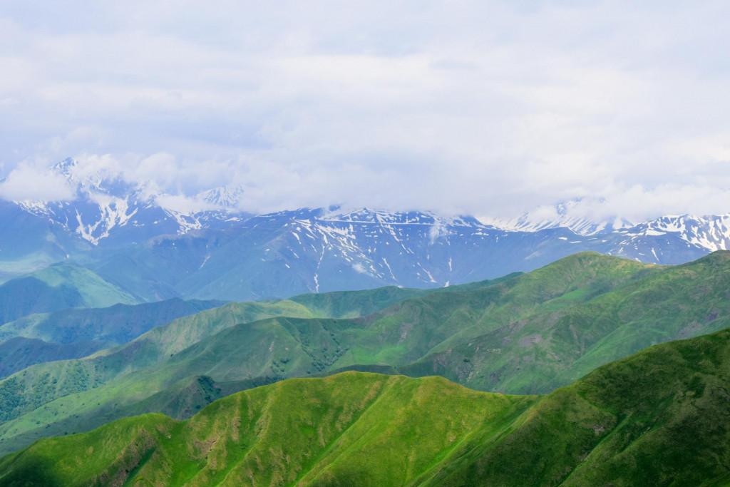 დათვისჯვარი