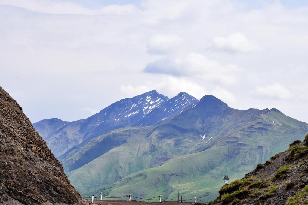 დათვისჯვარი