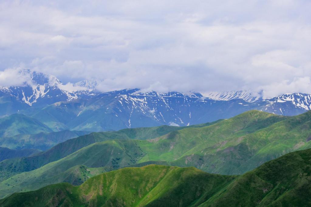 დათვისჯვარი