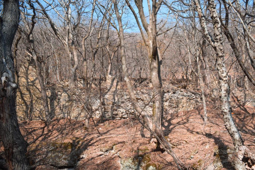 ვეჯინის სასახლე