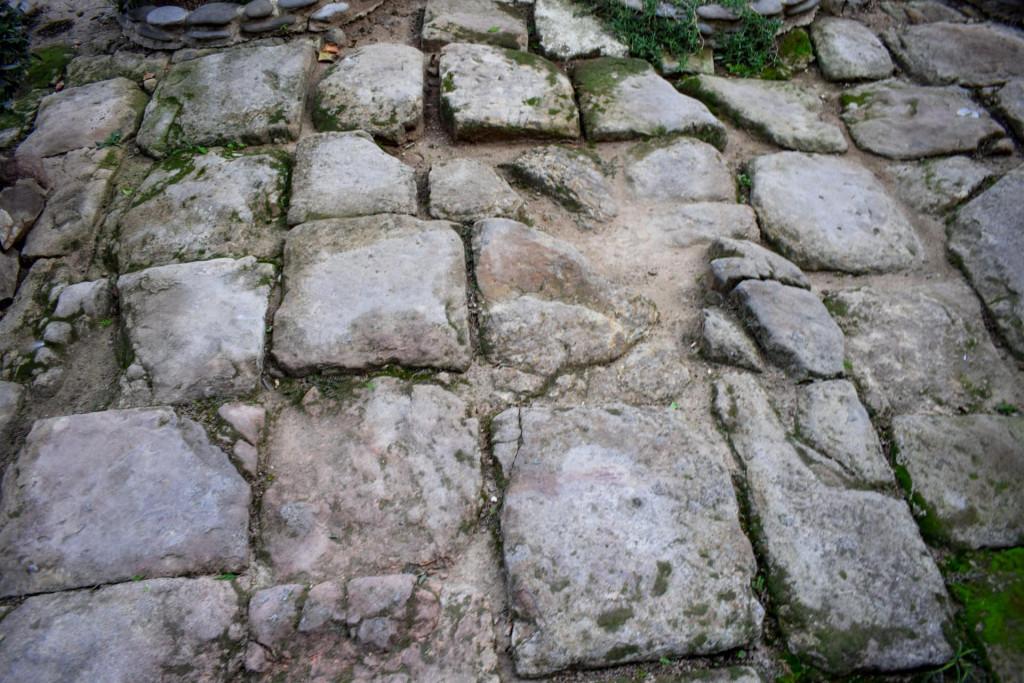 თბილისის მუზეუმი