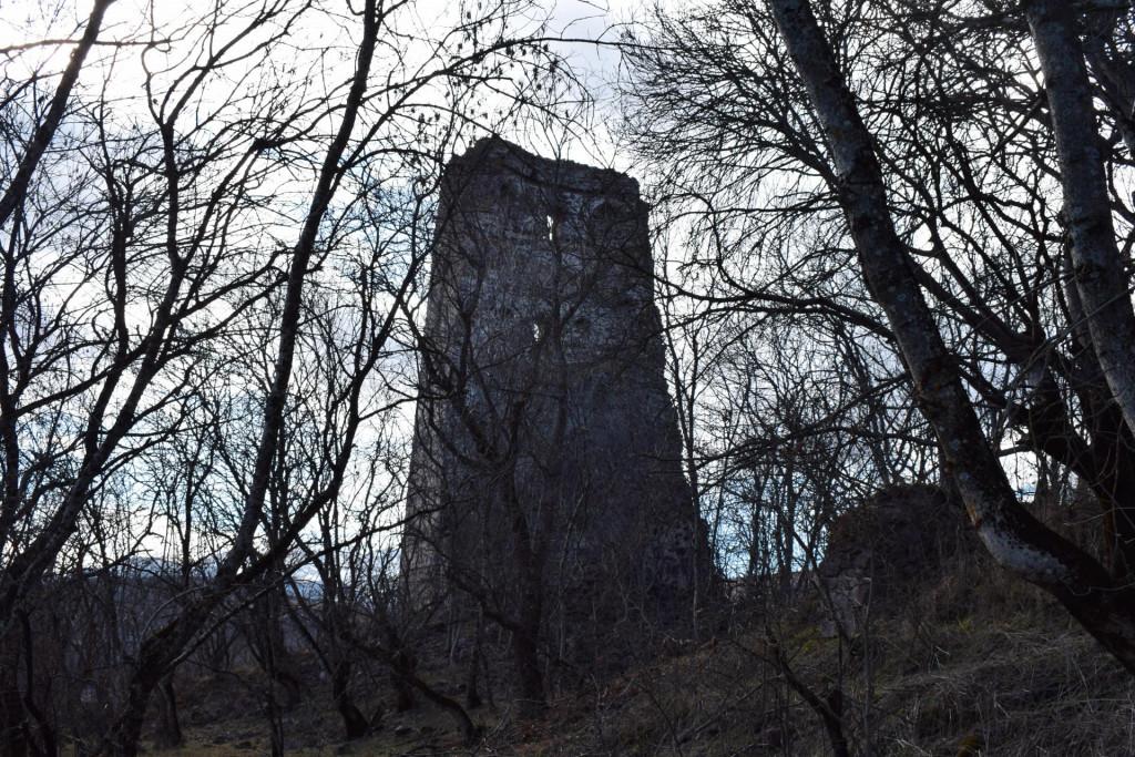 გორულის ნაქალაქარის კოშკი