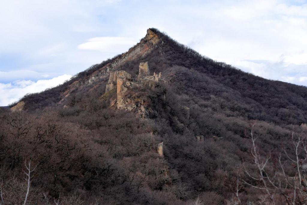 უჯარმის ციხე