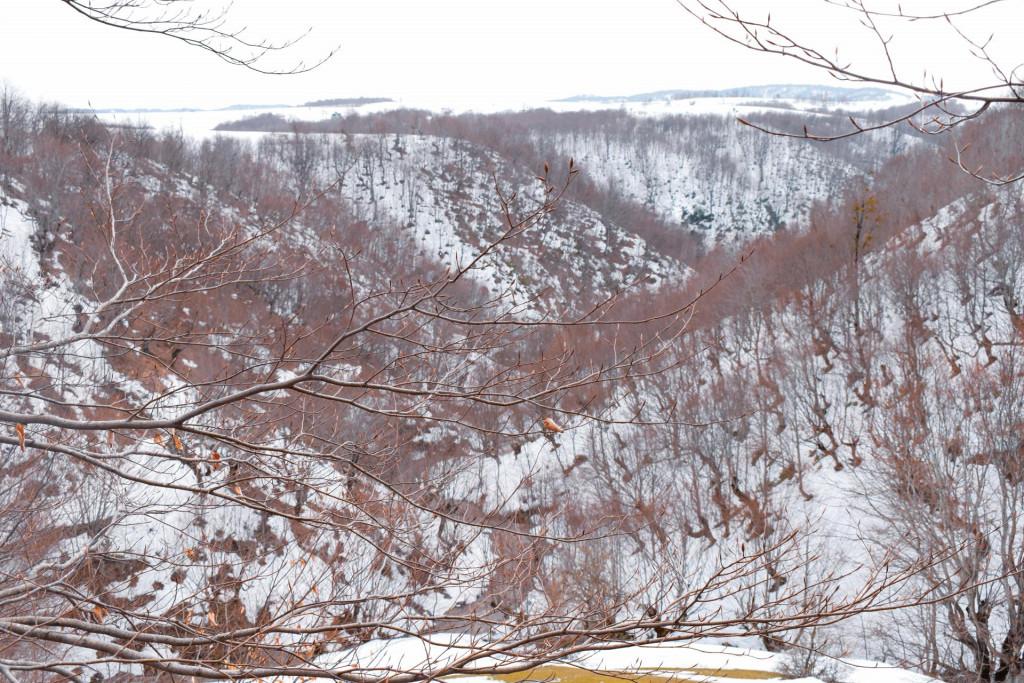 სანთელას ციხე