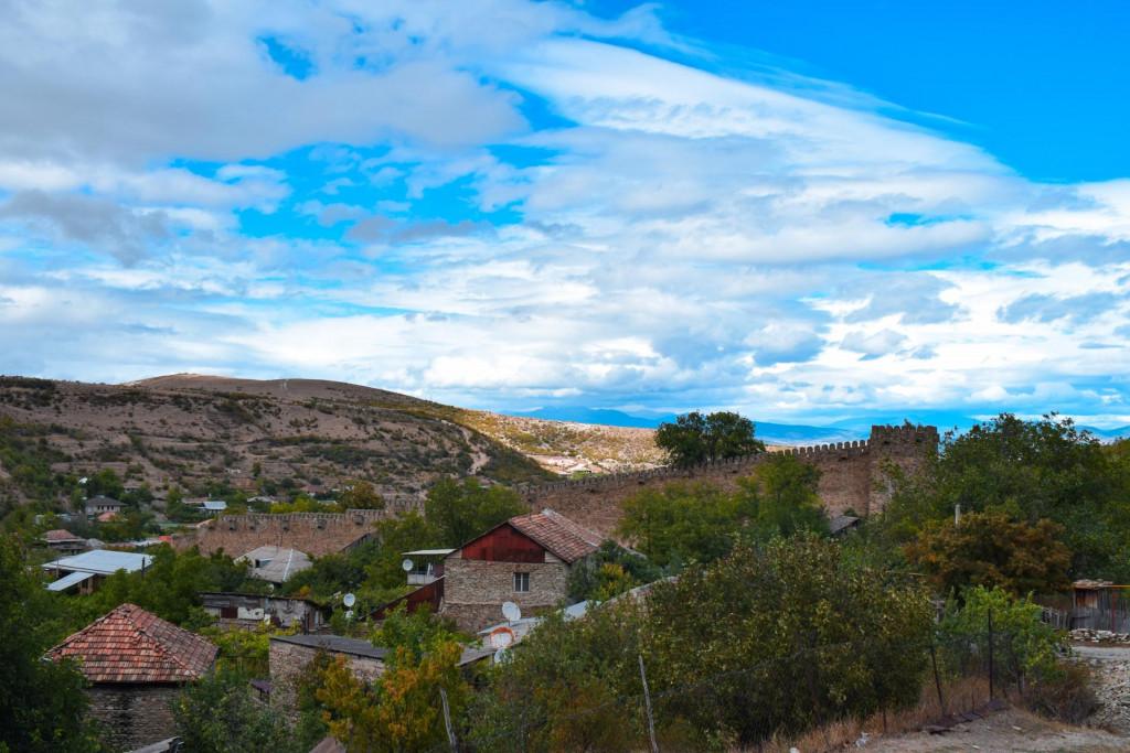 ნიჩბისის ციციშვილების ციხე-დარბაზი