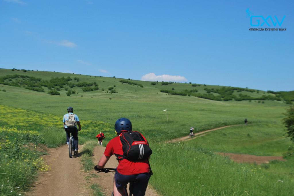 ერთ დღიანი ველოტური კოჯორი-მარაბდა