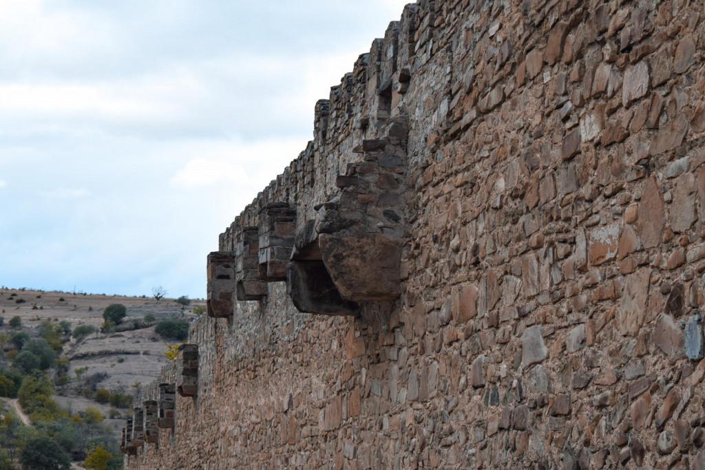 ნიჩბისის ციციშვილების ციხე-დარბაზი