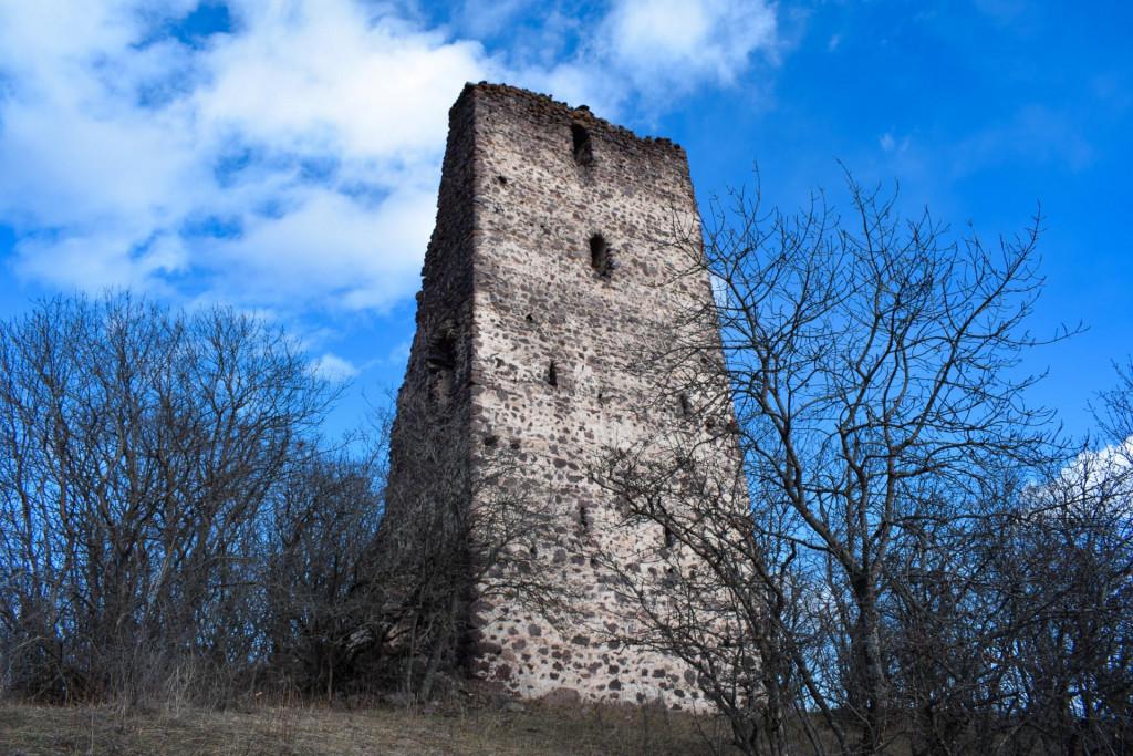 გორულის ნაქალაქარის კოშკი