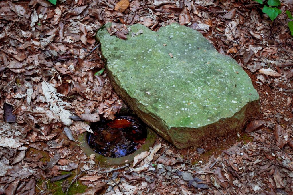 ცხემვანის წმინდა გიორგის მამათა მონასტერი