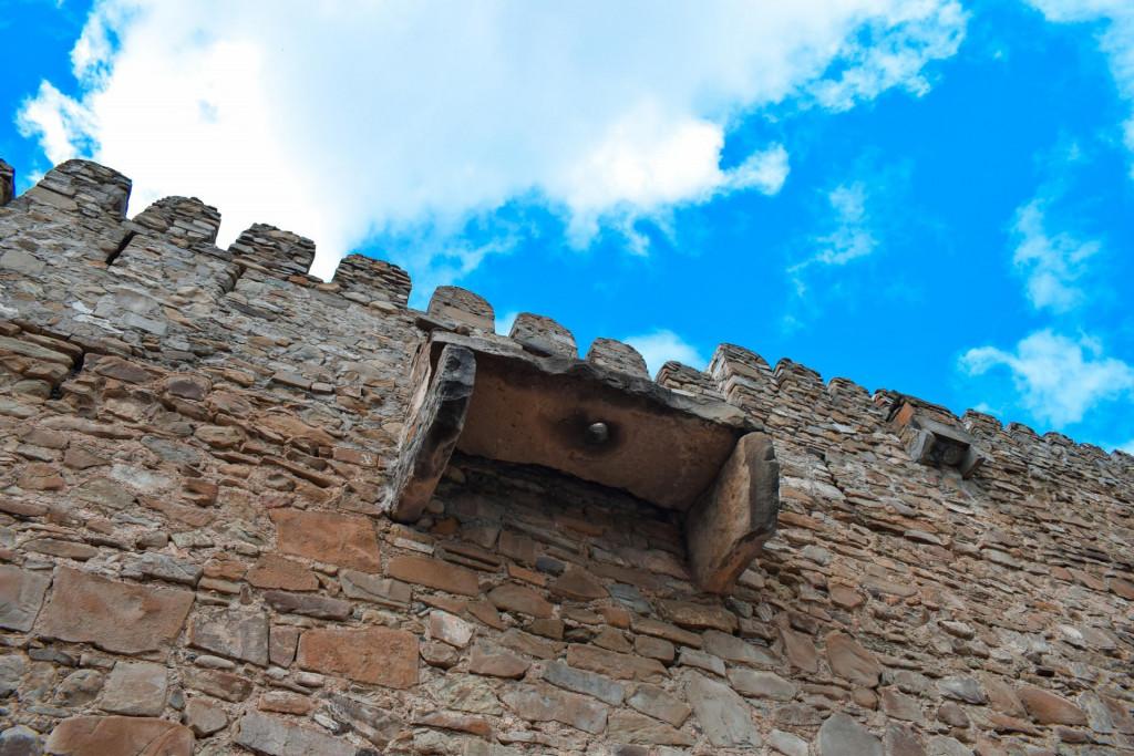 ნიჩბისის ციციშვილების ციხე-დარბაზი