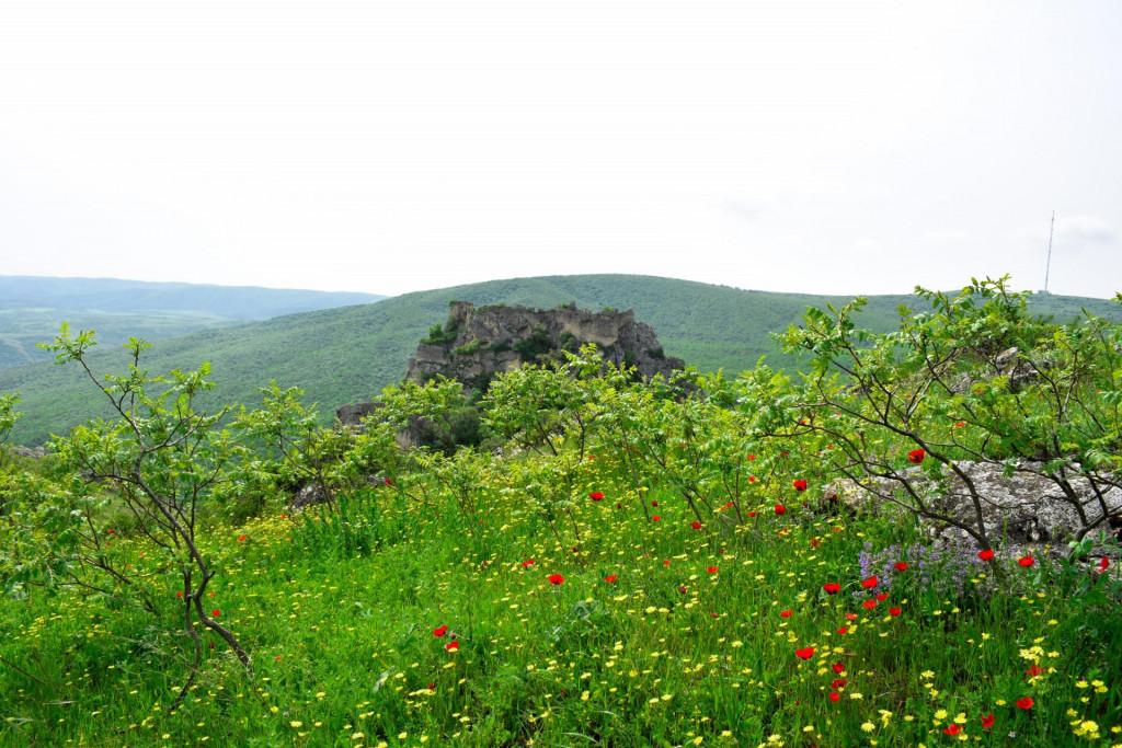 ხორნაბუჯის ციხე-სიმაგრე