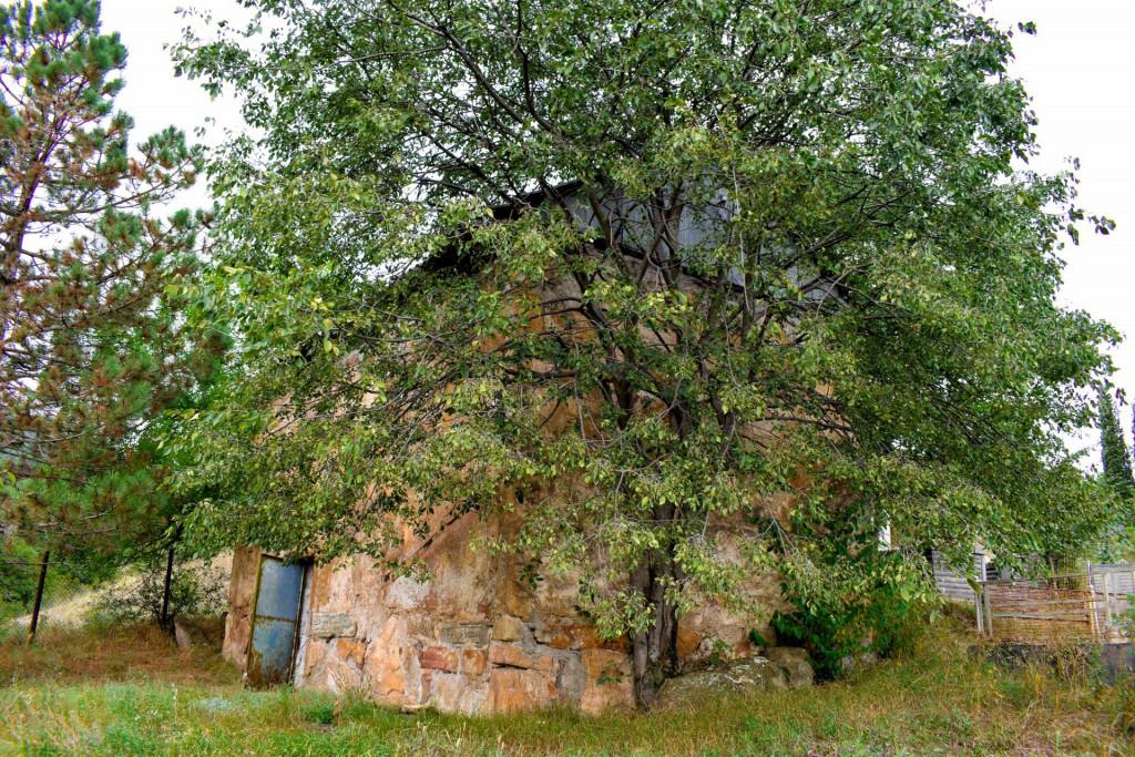 კიანეთის დარბაზული ეკლესია