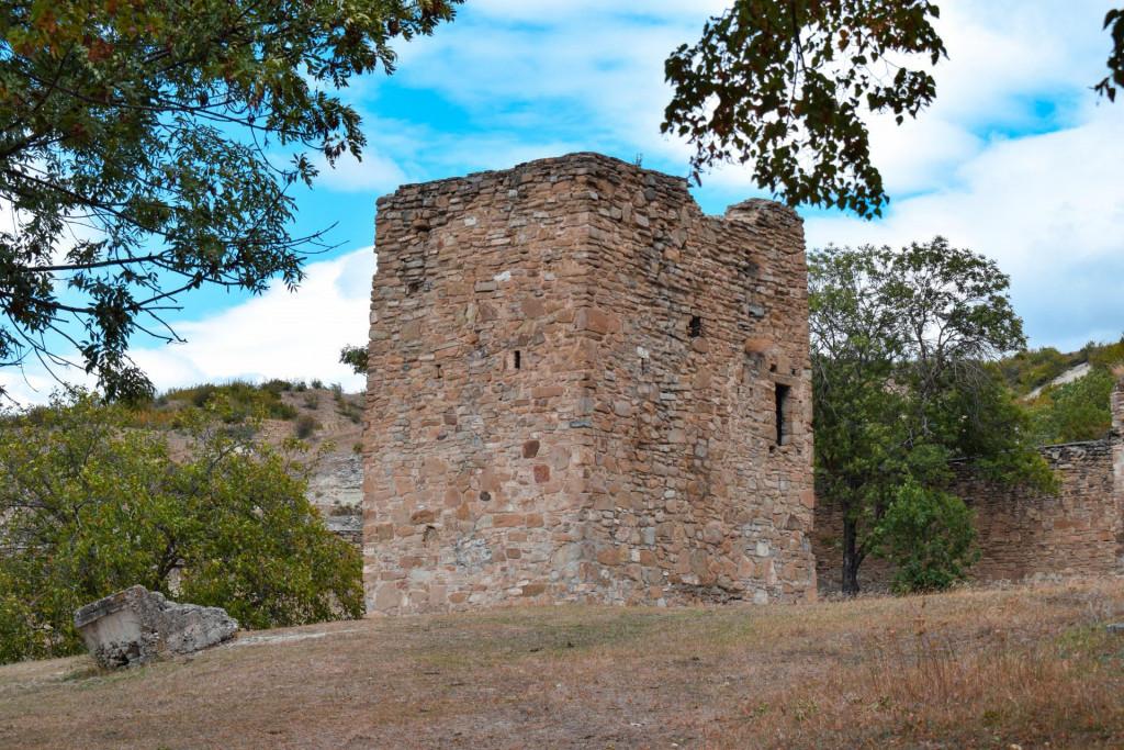ნიჩბისის ციციშვილების ციხე-დარბაზი