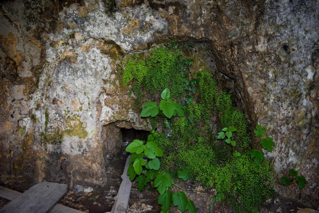 ნავარძეთის (თირის) ღვთისმშობლის მიძინების კომპლექსი