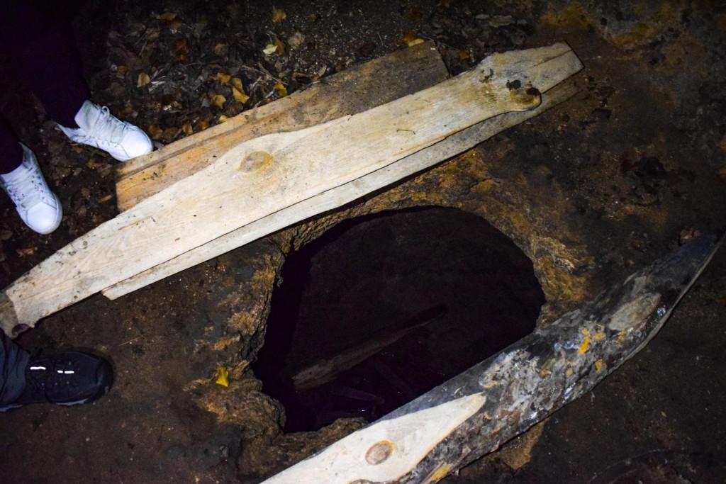 ნავარძეთის (თირის) ღვთისმშობლის მიძინების კომპლექსი