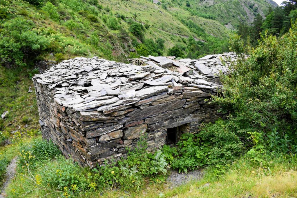 ანატორი