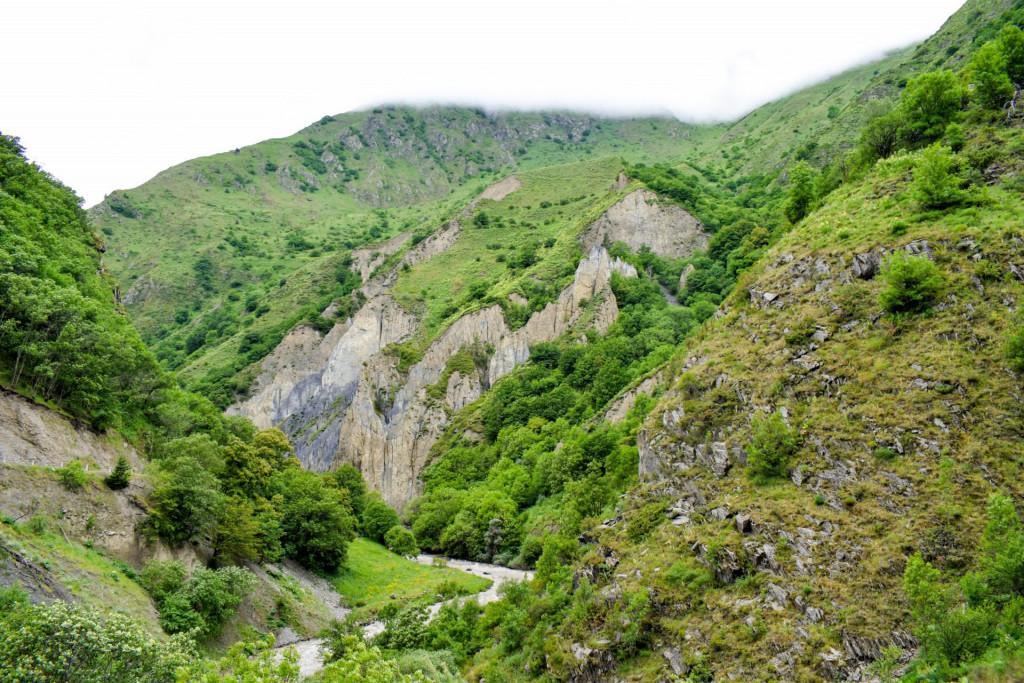 ანატორი