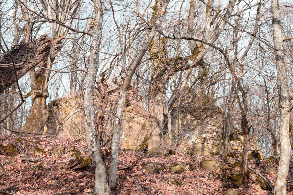 საჩინოს ბზასაყდარი