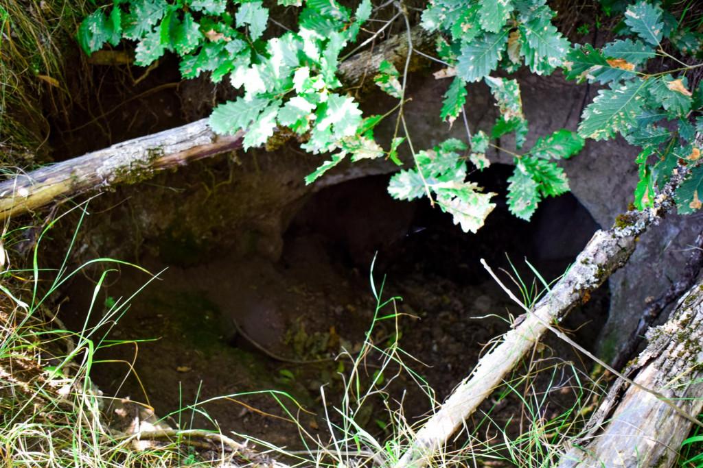 არჯულის დარანი