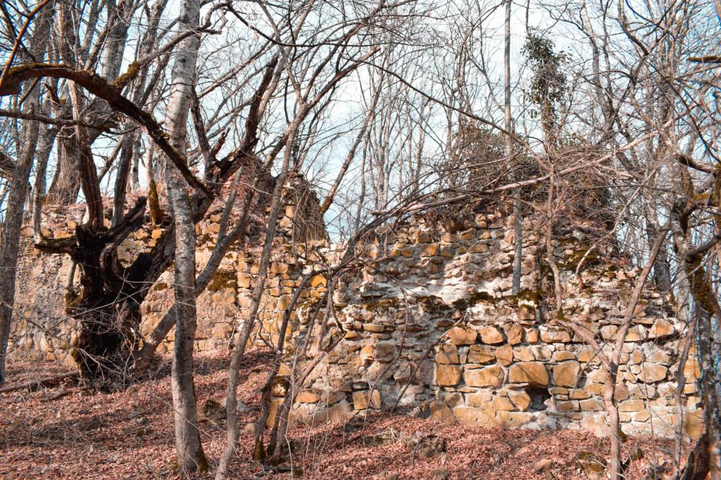 საჩინოს ბზასაყდარი