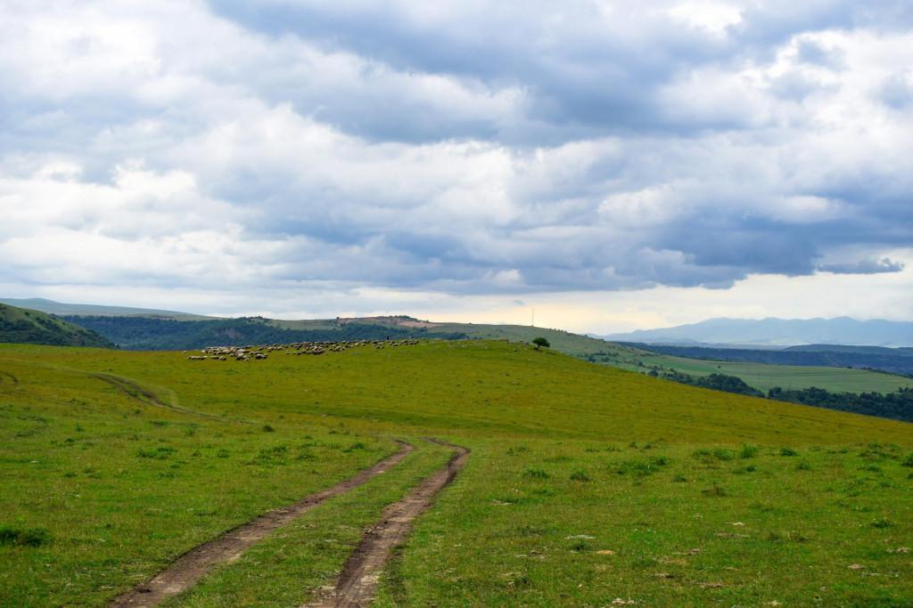 გომარეთის (ჭოჭიანის) სეფიაანთ საყდარი (თამარის სამწირველო)