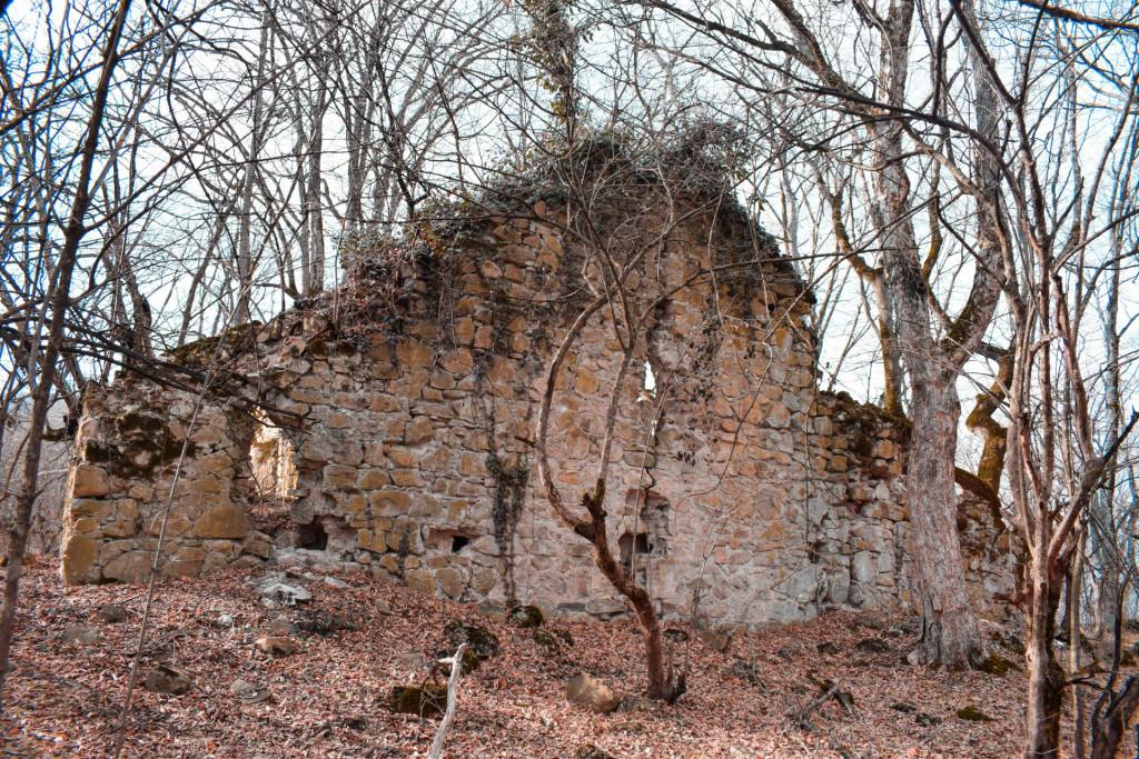 საჩინოს ბზასაყდარი