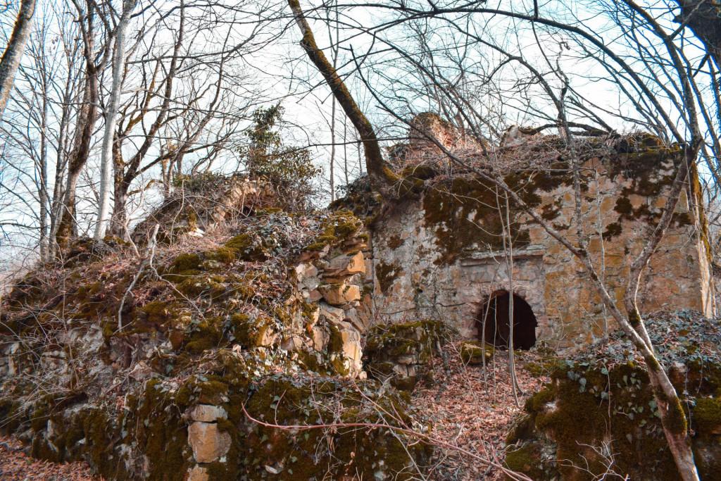 საჩინოს ბზასაყდარი