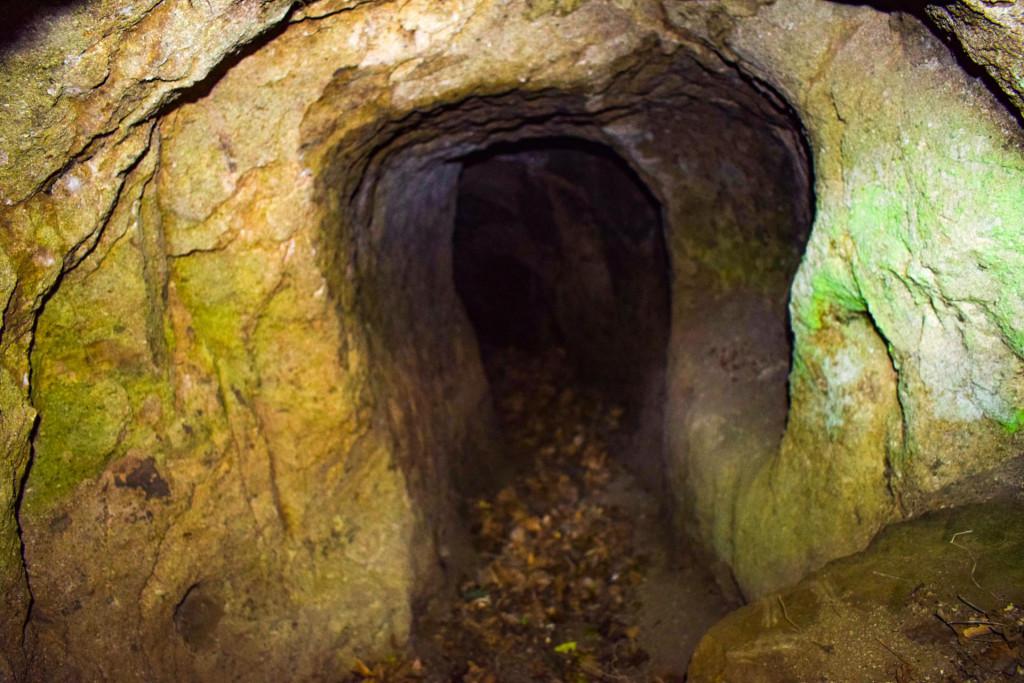 არჯულის დარანი