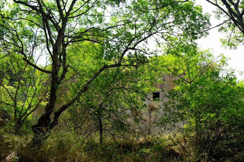 საფარის მონასტერი