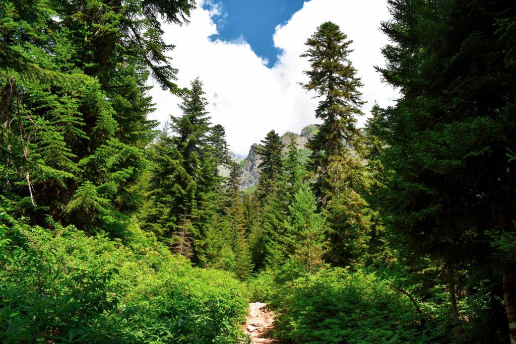 უშბის ჩანჩქერი (შდუგრა)