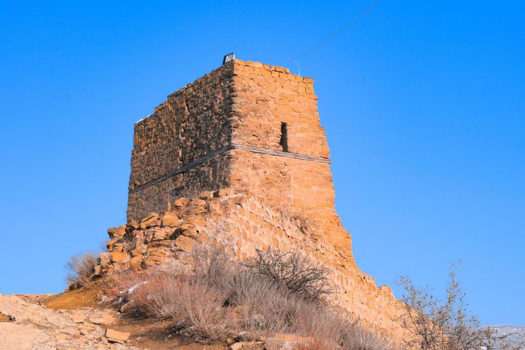 ბებრის ციხე