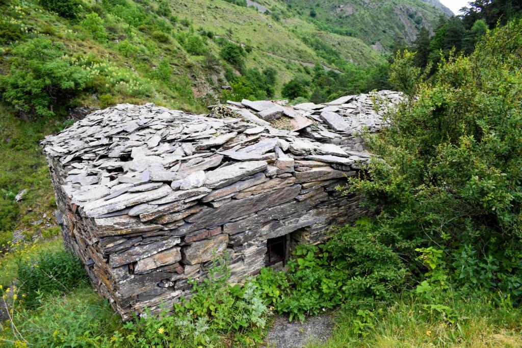 ანატორი