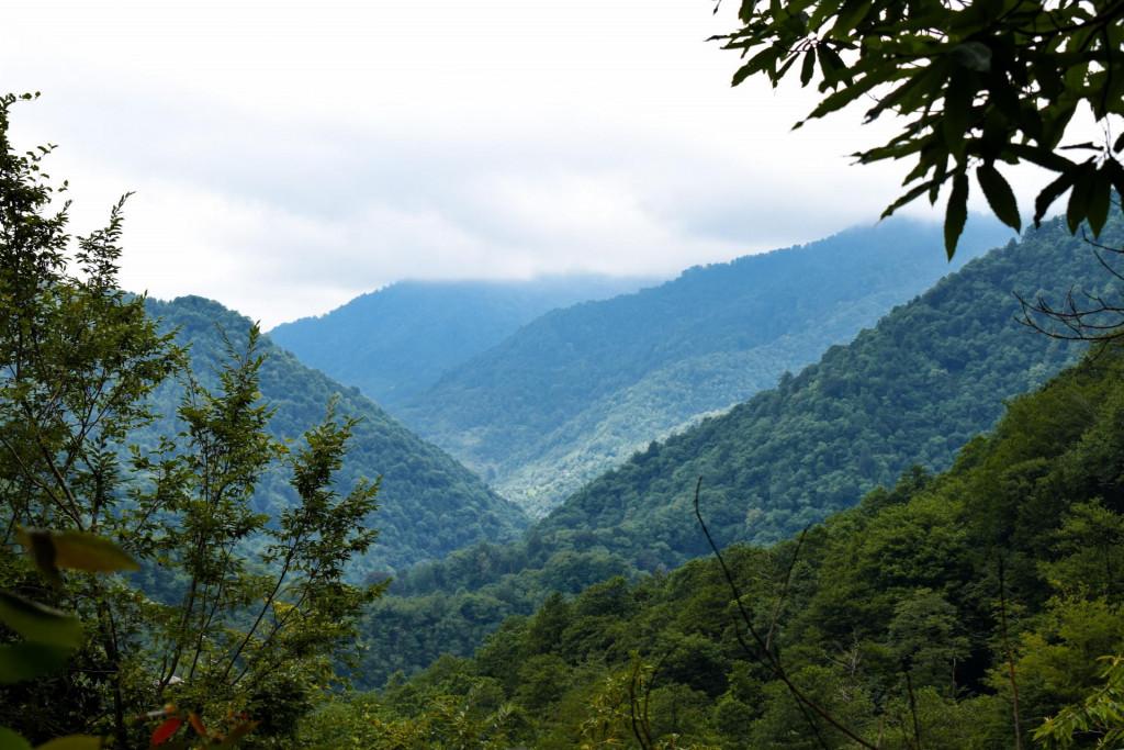 ცხემვანის წმინდა გიორგის მამათა მონასტერი