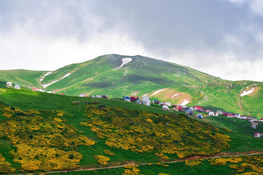 გომისმთა