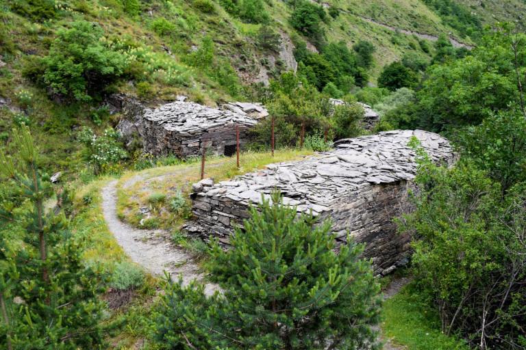 ანატორი